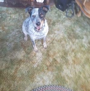 Meet your Posher, Rick